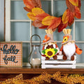 Plush Fall Gnomes 2-Pack with Pumpkin and Maple Leaves, Autu - view 1