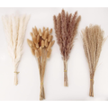 Pampas Grass and Bunny Tails Bouquet 100 Stems, Dried Boho F - view 1