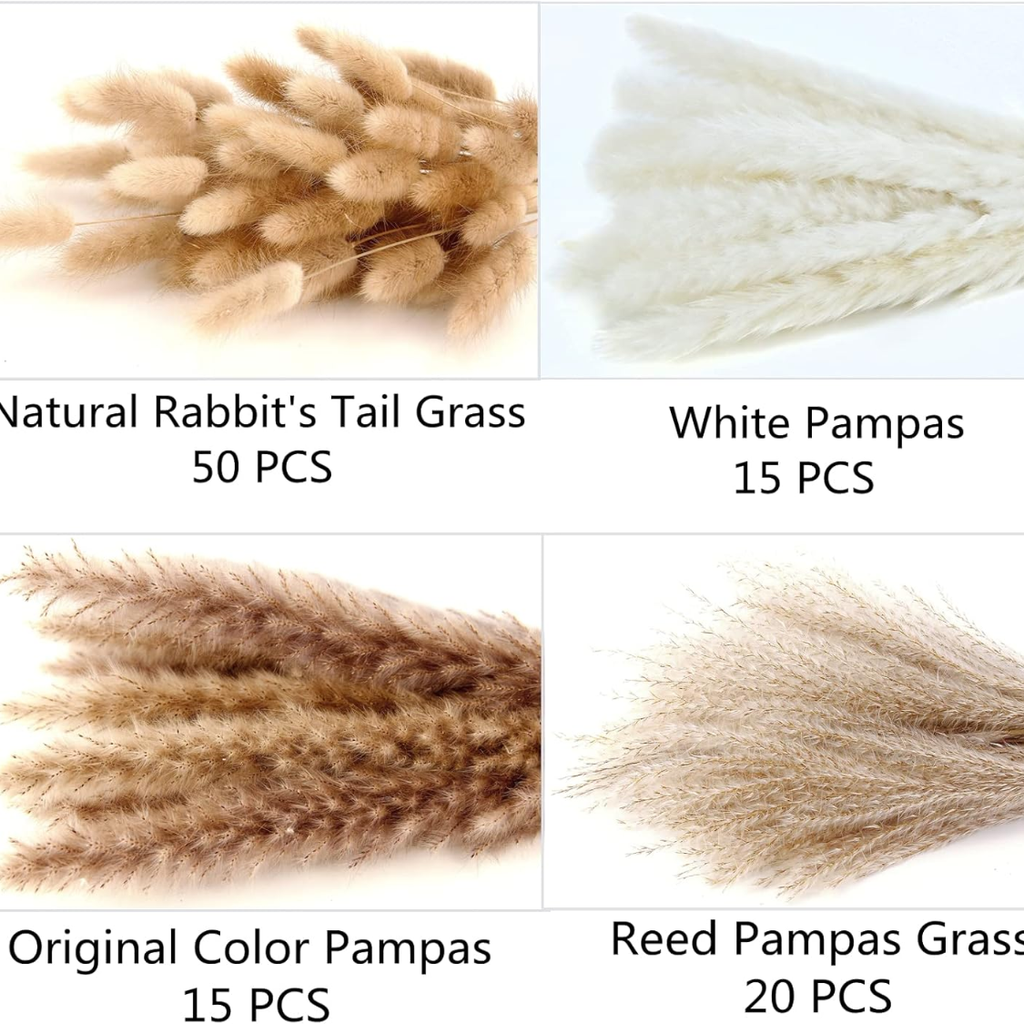 Pampas Grass and Bunny Tails Bouquet 100 Stems, Dried Boho F - view 3