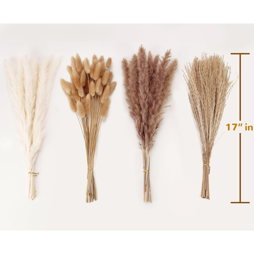 Pampas Grass and Bunny Tails Bouquet 100 Stems, Dried Boho F - view 2